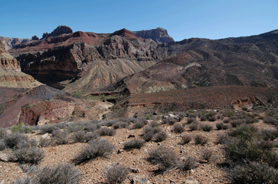 Descending into Kwagunt with a view of the mesa overlooking Kwagunt Creek