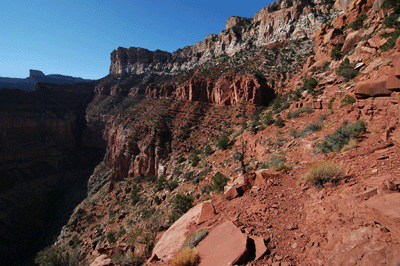 Looking toward Marion Point while hiking the Nankoweap Trail