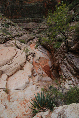 Water in Malgosa Canyon