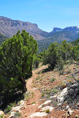 A view toward Saddle Mountain from trail 57