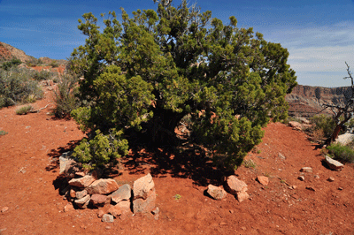 An improvised stone wall provides shelter from wind and sun along Nankoweap trail