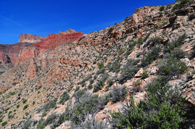 The steep descent from Tilted Mesa