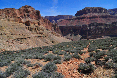 Nankoweap Mesa dominates the horizon in the lower section of Nankoweap trail