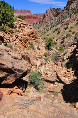 Along the Butte Fault route to the saddle between Malgosa and Awatubi canyons