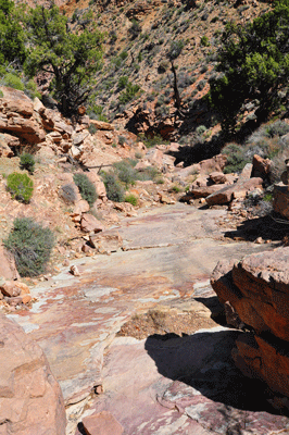 Another view from the Butte Fault route to the saddle between Malgosa and Awatubi canyons