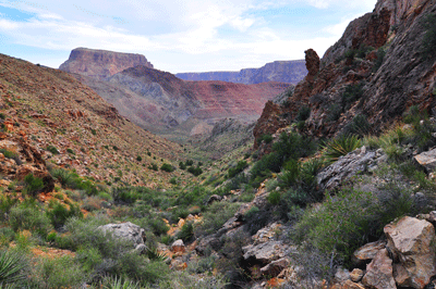 Looking north toward Kwagunt Butte from the Butte Fault route connnecting Sixtymile and Carbon canyons