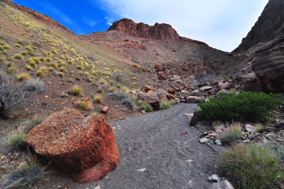 In the east arm of Carbon Canyon