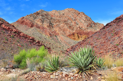 Looking west toward Carbon Butte