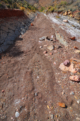 Hiking the east arm of Carbon Canyon