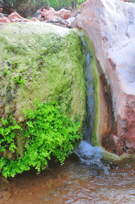 Emerald falls in Lava Creek