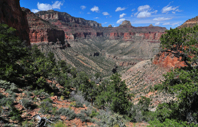 Looking north through Lava Creek Canyon from the Lava-Unkar Redwall saddle