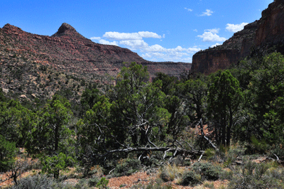 A view of Jupiter Temple from the Lava-Unkar Redwall saddle