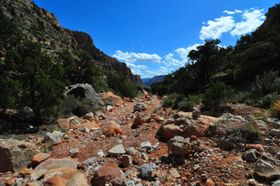 Hiking through the north arm of Unkar Creek Canyon