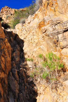 A crumbly Tapeats chute in south Unkar