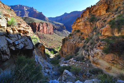 Looking back through the Tapeats bypass route