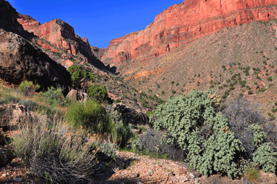 Looking toward the Redwall in south Unkar