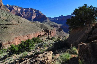 Looking northeast toward Jupiter Temple in Unkar Creek Canyon