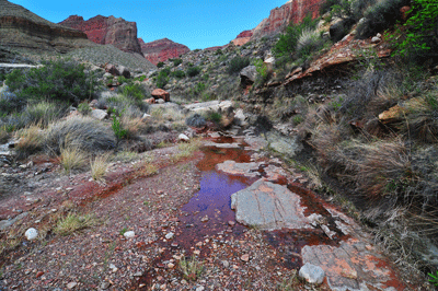 A light flow of water in upper Vishnu