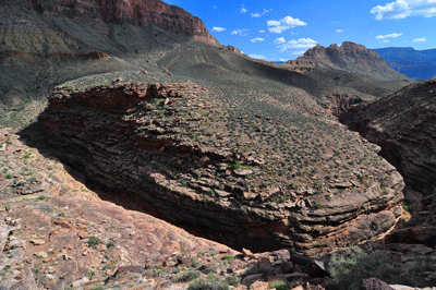 A bend in the Shinumo Quartzite narrows in Vishnu