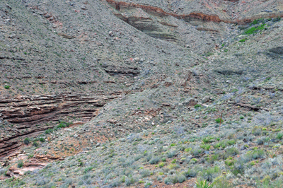 A spring at the Muav contact (upper right corner) releases water through a minor drainage in Vishnu