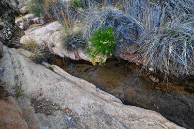 Seasonal water flow at the pouoff camp site in Vishnu