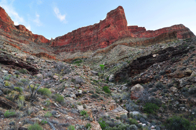 Looking along the route through the Redwall break to the saddle north of Hall Butte