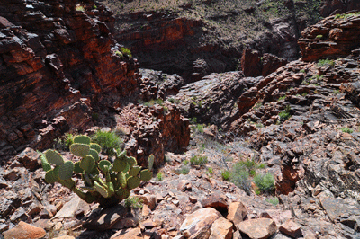 Looking back through the exit route from 'Double Disappointment' Canyon