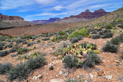 Looking northwest across the Tonto platform toward Zoroaster and Brahma temples (upper right corner)