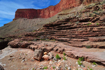 The Howlands Butte rises above a Tapeats shelf