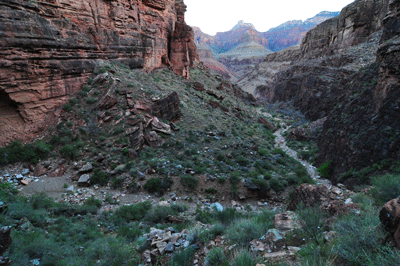 Looking north through the drainage that connects with the east arm of Clear Creek