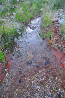 A light flow of water in the east arm of Clear Creek