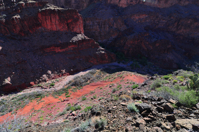 Looking into Clear Creek from the Tonto platform to the west