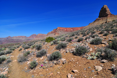 Demaray Point (upper right corner) towers over the Clear Creek trail