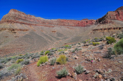 Clear Creek trail enters a major drainage below Zoroaster Temple