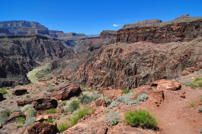 A view of the Colorado River from Clear Creek trail