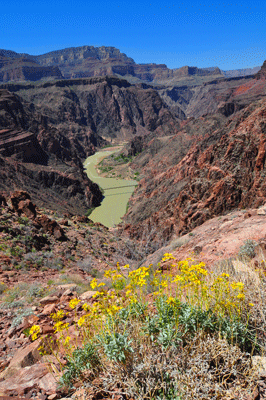 Bridges across the Colorado River