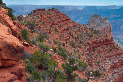 Marion Point in Grand Canyon National Park