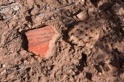 Potsherds in Nankoweep