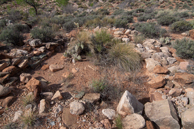 Looking into a room outline at a ruin site in Nankoweap