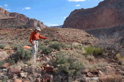 Rob surveys a ancestral puebloan ruin site in Nankoweap