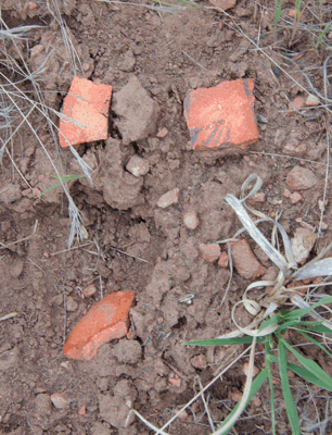 Potsherds in Kwagunt Canyon