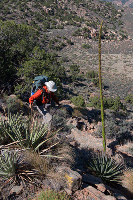 Rob ascends from a plateau along the route to the Kwagunt/Malgosa saddle