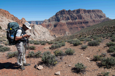 Chuar Butte dominates the southern horizon from the Awatubi/Sixtymile saddle