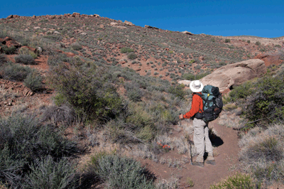 Hiking in Sixtymile Canyon early on Day Four