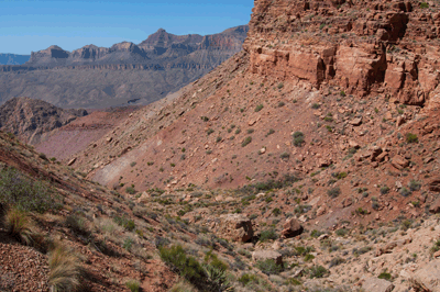 Approaching a junction the main drainage and a side canyon in upper East Carbon