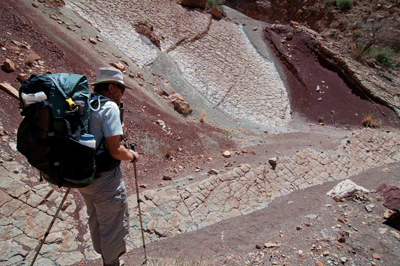 Admiring the interesting geology on display in East Carbon