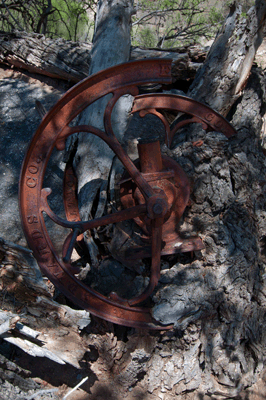 The old coffee grinder at the Still Spring site in Lava Creek