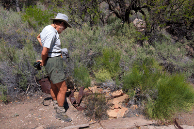 Rob checks out some old bricks and other debris at the Still Spring site