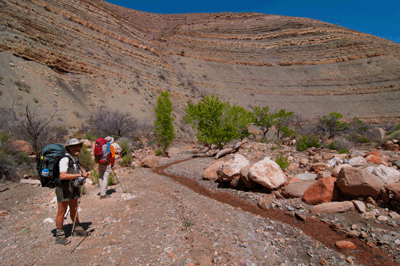 Hiking beside Lava Creek in Grand Canyon