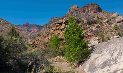 Butchart Butte (center left) stands above the Redwall at the northern end of this unnamed canyou. The ridge to the right (east) with two summits is also unnamed.